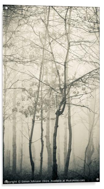  misty woodland Acrylic by Simon Johnson
