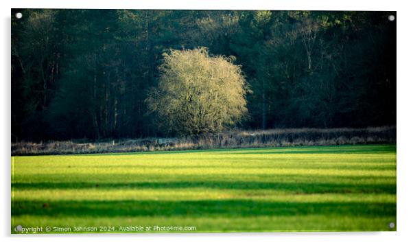 Outdoor field Acrylic by Simon Johnson