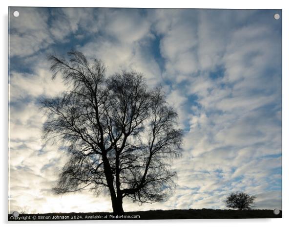 Two tree Silhouettes  Acrylic by Simon Johnson