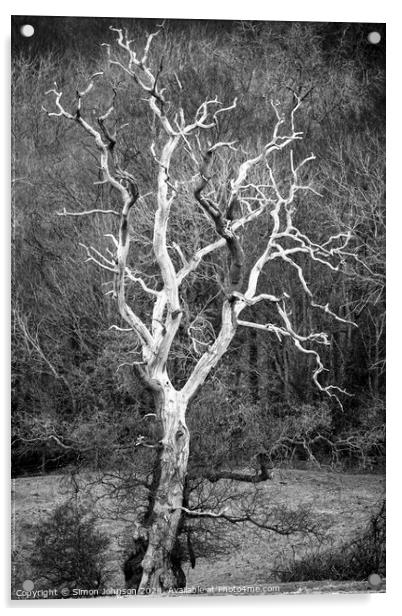 Sunlit tree in monochrome  Acrylic by Simon Johnson