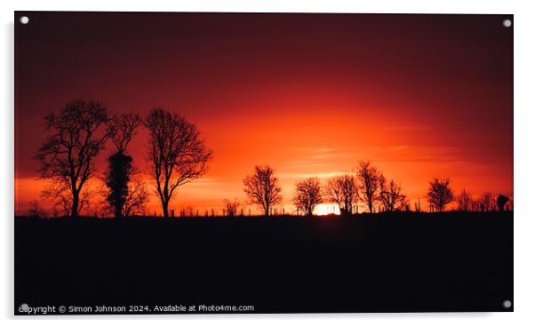 Tree silhouette sunrise  Acrylic by Simon Johnson