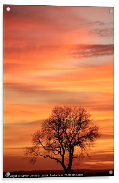 Cotswold sunset and tree silhouette   Acrylic by Simon Johnson