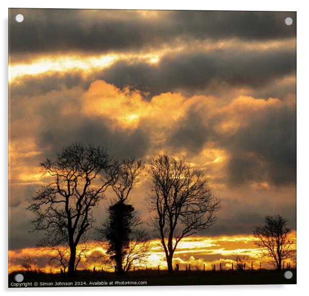 Tree silhouettes  at sunrise  Acrylic by Simon Johnson