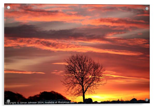 Tree silhouette  at Sunrise Acrylic by Simon Johnson
