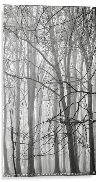 Woodland mist monochrome  Acrylic by Simon Johnson