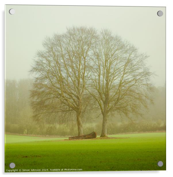 soft light and trees Acrylic by Simon Johnson