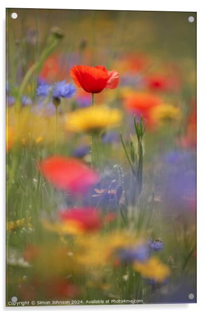  Poppy and meadow flowers Acrylic by Simon Johnson