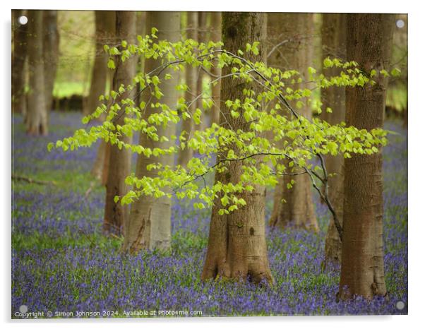 wind blown tree and Bluebells Acrylic by Simon Johnson