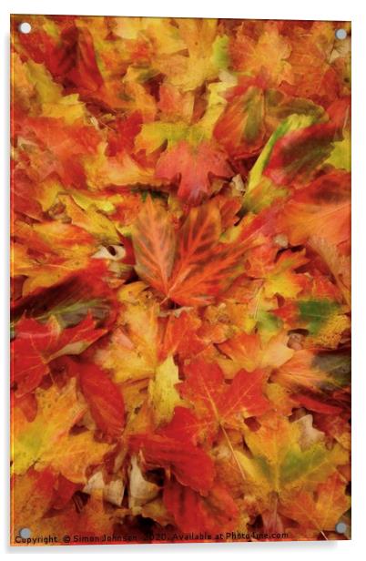 Autumn Collage with artistic blur Acrylic by Simon Johnson