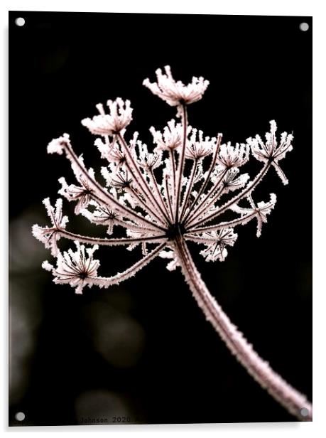 Frosted Grass Cotswolds Acrylic by Simon Johnson