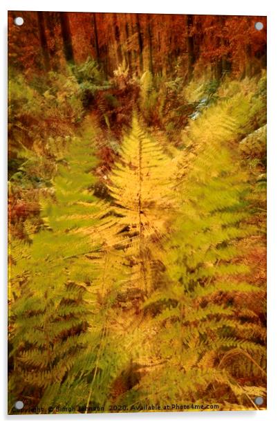 Autumn Woodland  Acrylic by Simon Johnson