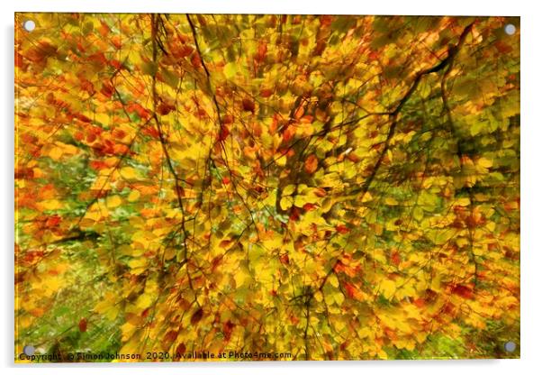 Leaf explosion Acrylic by Simon Johnson