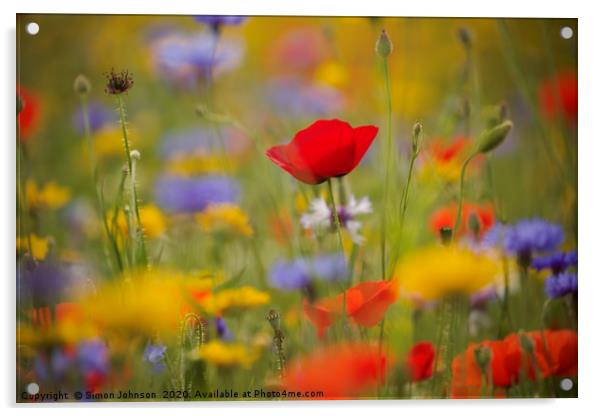 Meadow flowers Acrylic by Simon Johnson