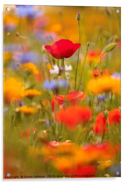 Poppy and summer meadow flowers Acrylic by Simon Johnson