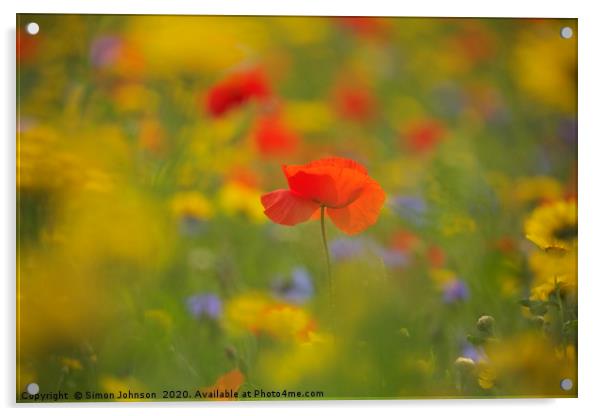 Poppy Acrylic by Simon Johnson