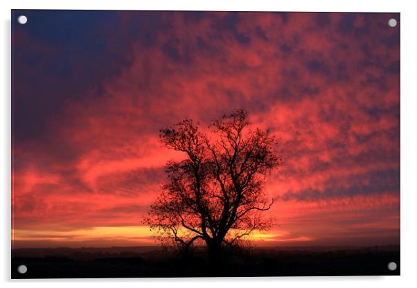 Dramatic Cotswold  Sunrise Acrylic by Simon Johnson