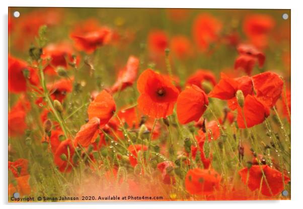 Wet poppies Acrylic by Simon Johnson