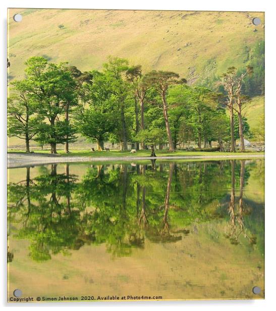 Reflections Buttermere Acrylic by Simon Johnson