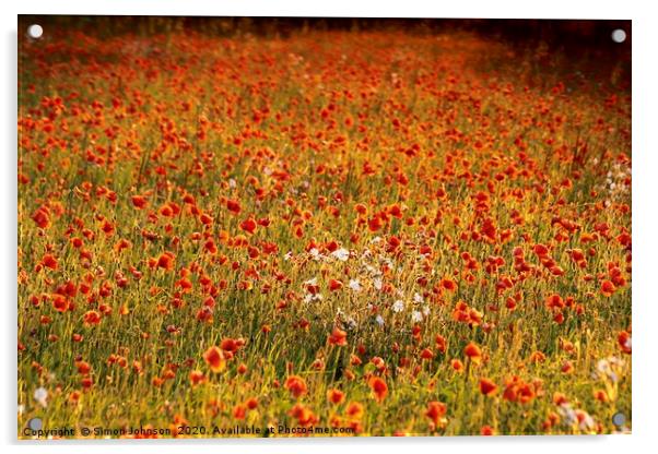 impressionist image of poppy field Acrylic by Simon Johnson