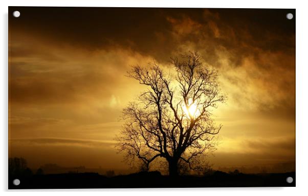Moody dawn Acrylic by Simon Johnson