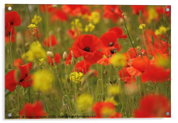 Poppies Acrylic by Simon Johnson