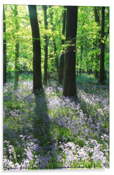 Sunlit bluebell wood Acrylic by Simon Johnson