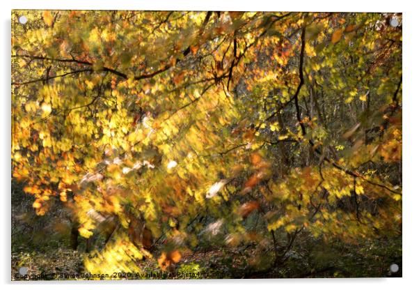 Autumn Woodland Acrylic by Simon Johnson