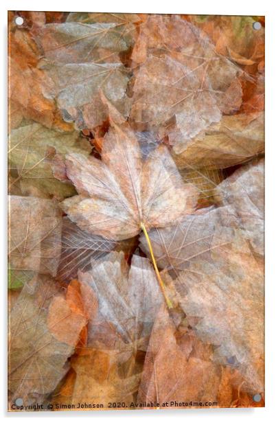 leaf collage Acrylic by Simon Johnson