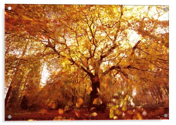 Autumn woodland, wind and sun Acrylic by Simon Johnson