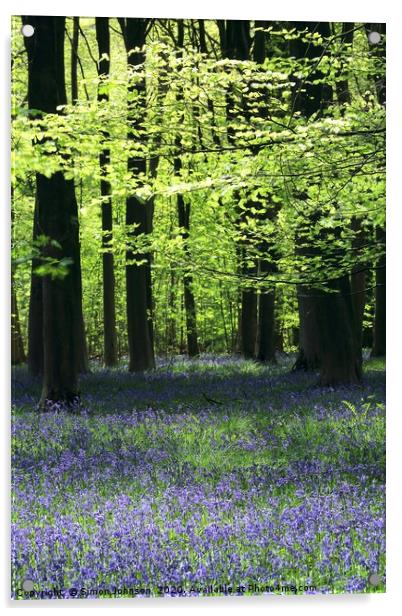 Bluebell Woods Cotswolds x Acrylic by Simon Johnson