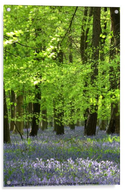 Bluebells and Beech Leaves Acrylic by Simon Johnson