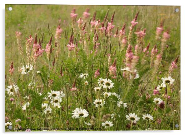 Daisys and meadow grass  Acrylic by Simon Johnson