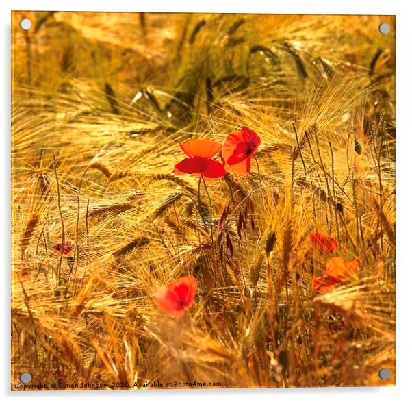 poppies in corn Acrylic by Simon Johnson