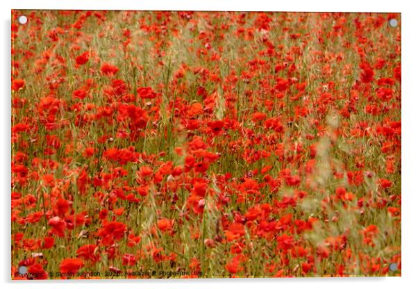 Impressionist image of poppies Acrylic by Simon Johnson