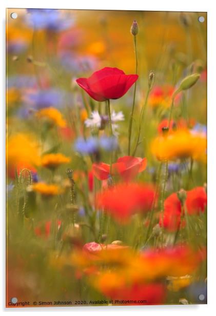 poppy and meadow flowers Acrylic by Simon Johnson