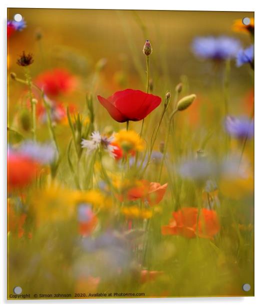 Poppy and meadow flowers Acrylic by Simon Johnson