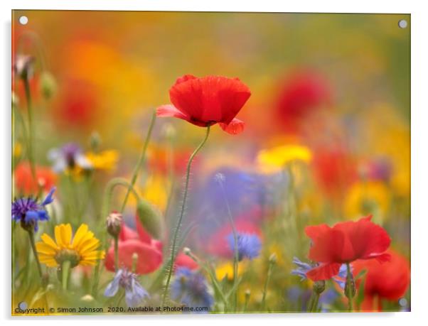 Poppy and meadow flowers Acrylic by Simon Johnson