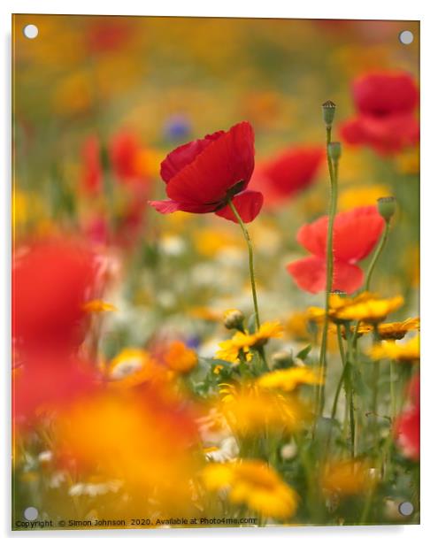 Poppy and meadow flowers Acrylic by Simon Johnson