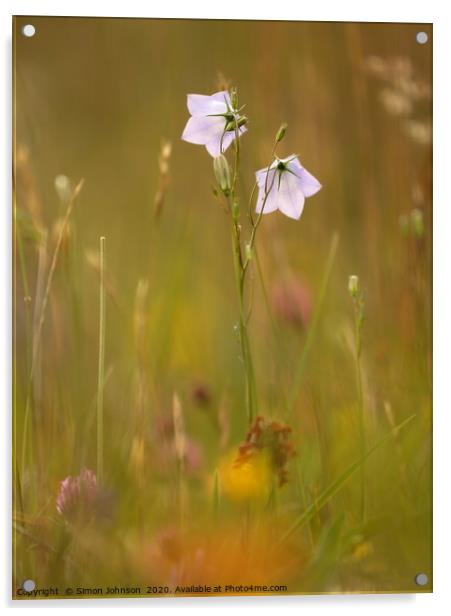 meadow flowers Cotswolds  Acrylic by Simon Johnson