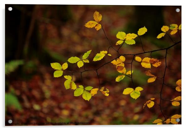 Luminous leaves Acrylic by Simon Johnson
