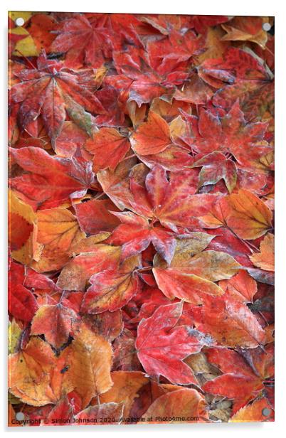 Frosted autumn leaves Acrylic by Simon Johnson