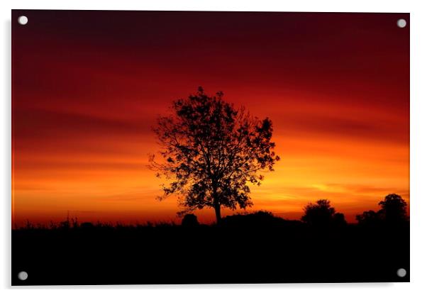 Cotswold dawn Acrylic by Simon Johnson