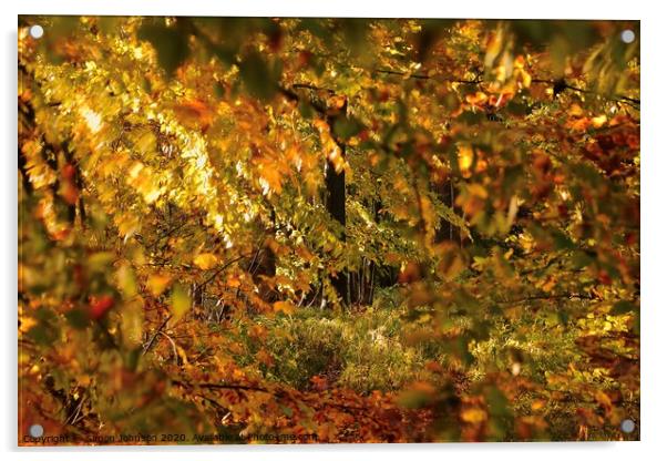 autumn Colour Acrylic by Simon Johnson