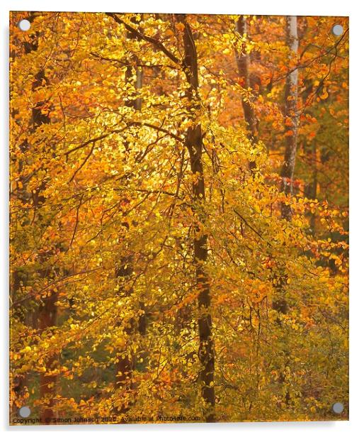Autumn Colour  Acrylic by Simon Johnson