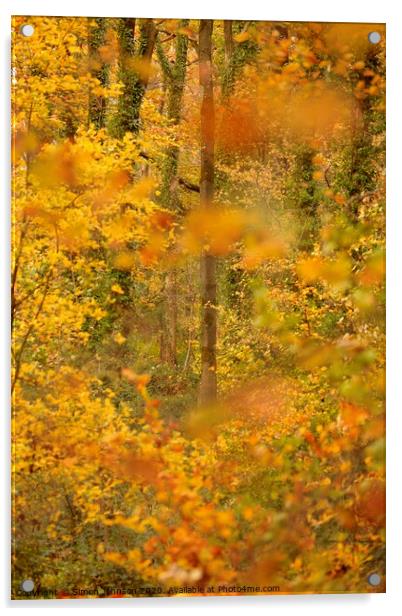 Autumn woodland impressionist image Acrylic by Simon Johnson
