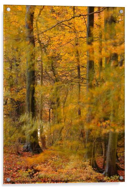 Gale in autumn Woodland Acrylic by Simon Johnson