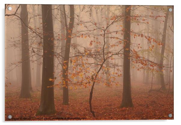 Autumn Beech Tree Acrylic by Simon Johnson