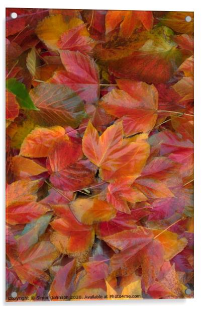 Autumn leaf Collage with artistic blur Acrylic by Simon Johnson