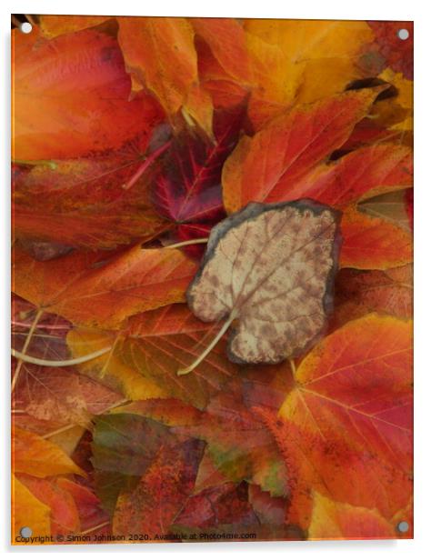 Autumn leaves Acrylic by Simon Johnson