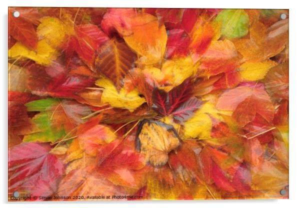 Autumn Leaf Collage Acrylic by Simon Johnson